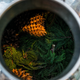 Image for article titled How Two West Coast Hikers Turned Brooklyn's Trees into a New Perfume